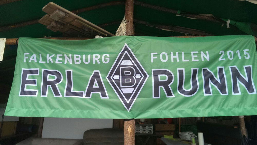 Banner der Falkenburg Fohlen Erlabrunn